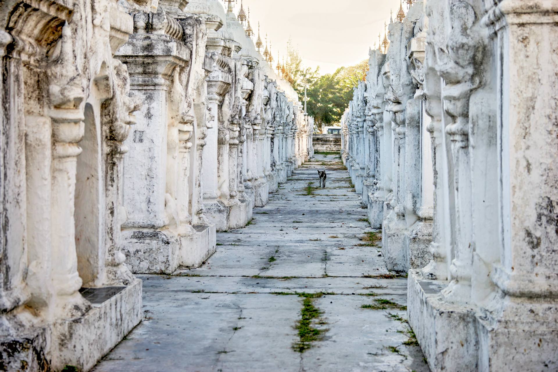 Die Kuthodaw-Pagode ist eine Gruppe buddhistischer Stupas und beherbergt das größte Buch der Welt nach Größe, der buddhistische Kanon in Pali oder Tipitaka, wie er vom Fünften Buddhistischen Konzil im Jahr 1871 genehmigt wurde. Er ist auf 729 Marmorstelen eingraviert, die jeweils unter einer kleinen weiß getünchten Stupa geschützt sind.